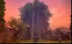 Aion-13 Thumbnail