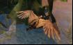 Aion-14 Thumbnail
