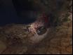 Shadowgrounds Survivor-5 Thumbnail