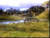 The Witcher-14 Thumbnail