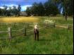 The Witcher-15 Thumbnail
