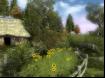 The Witcher-28 Thumbnail