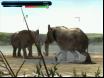 Wild Earth-4 Thumbnail