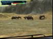 Wild Earth-10 Thumbnail