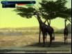 Wild Earth-12 Thumbnail