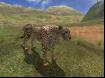 Wild Earth-14 Thumbnail