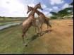 Wild Earth-15 Thumbnail