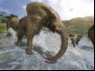 Wild Earth-20 Thumbnail