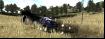 Xpand Rally Xtreme-15 Thumbnail