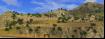 Xpand Rally Xtreme-21 Thumbnail